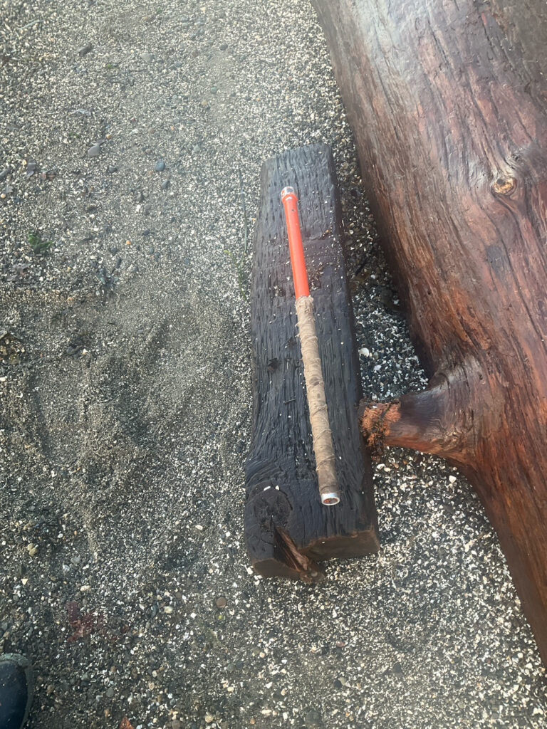 a bat on a wood surface (MyCoast AI)