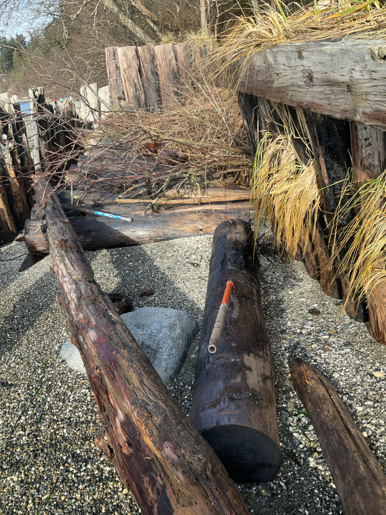 a log with a bottle and a bottle on it (MyCoast AI)