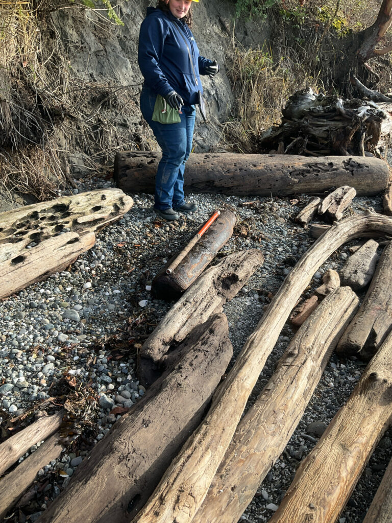 a man standing on a log (MyCoast AI)