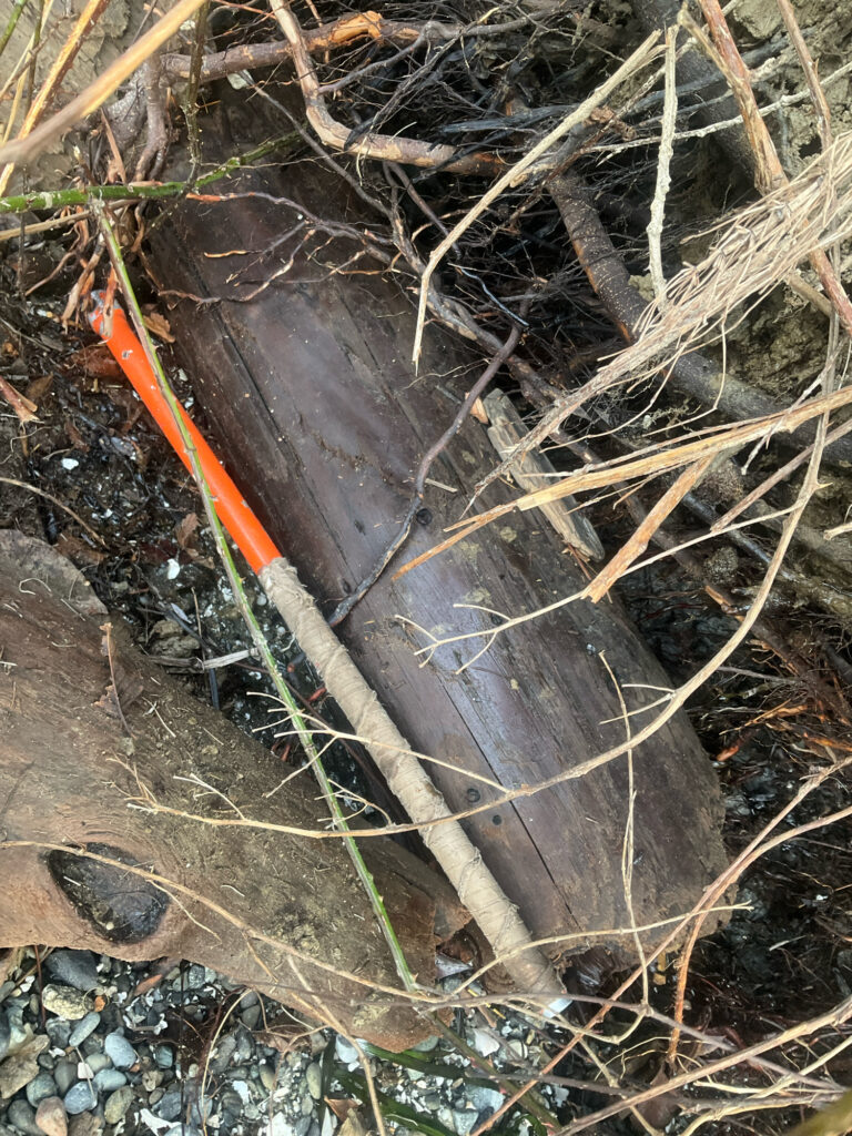 a close-up of a log (MyCoast AI)