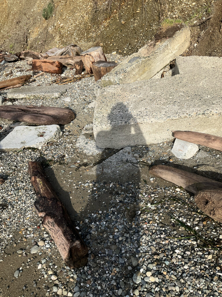 a group of logs on a rocky ground (MyCoast AI)