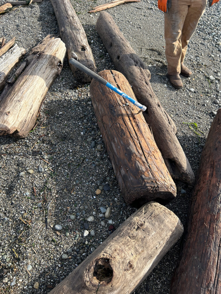 a person standing next to a pile of wood (MyCoast AI)
