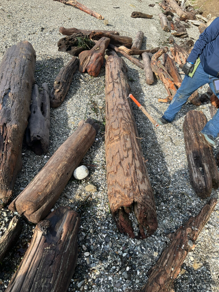 a person cutting wood (MyCoast AI)