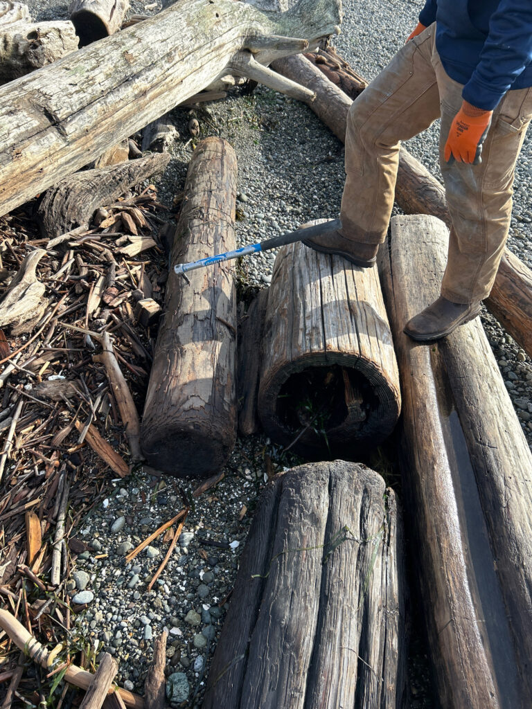 a person cutting wood (MyCoast AI)