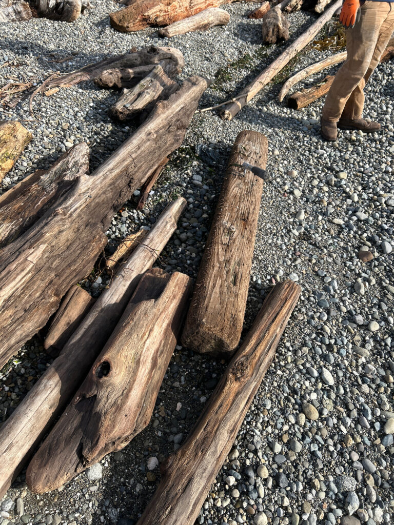a group of wood pieces on a rocky surface (MyCoast AI)