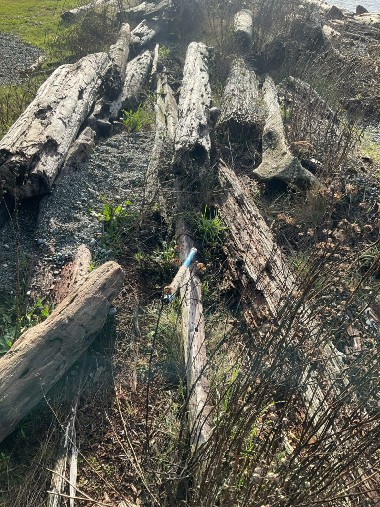 a person climbing a rock (MyCoast AI)