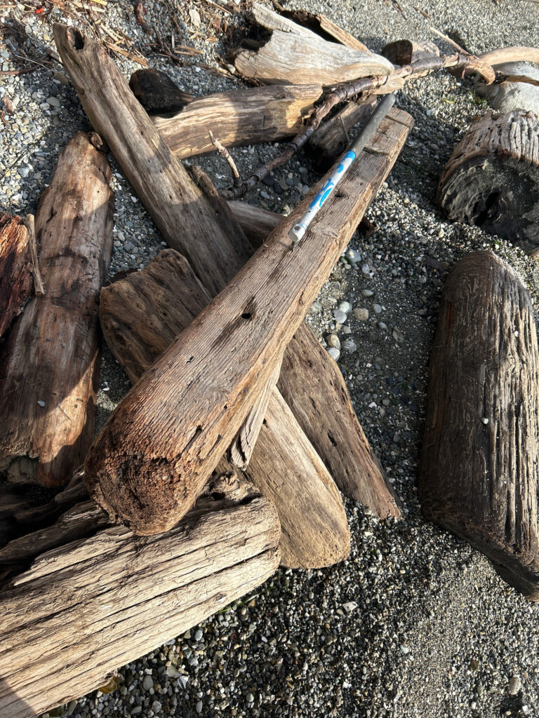 a knife on a log (MyCoast AI)