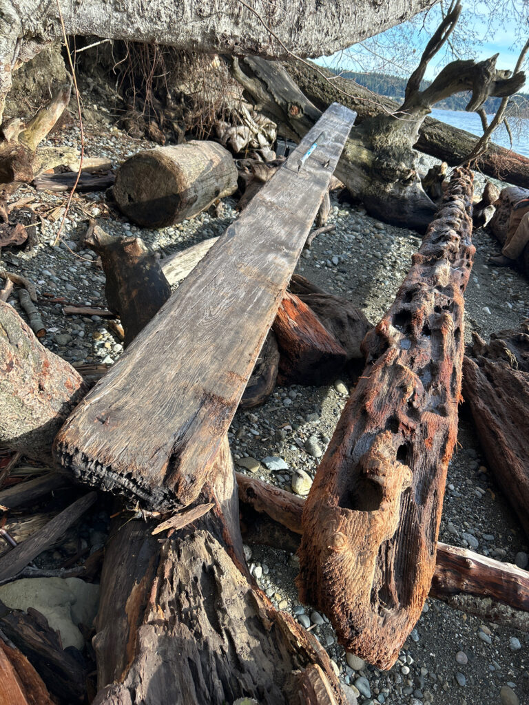 a pile of cut logs (MyCoast AI)