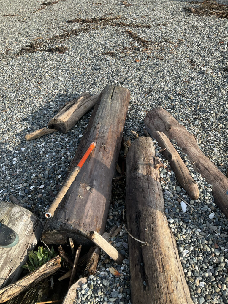 a group of wood pieces on the ground (MyCoast AI)