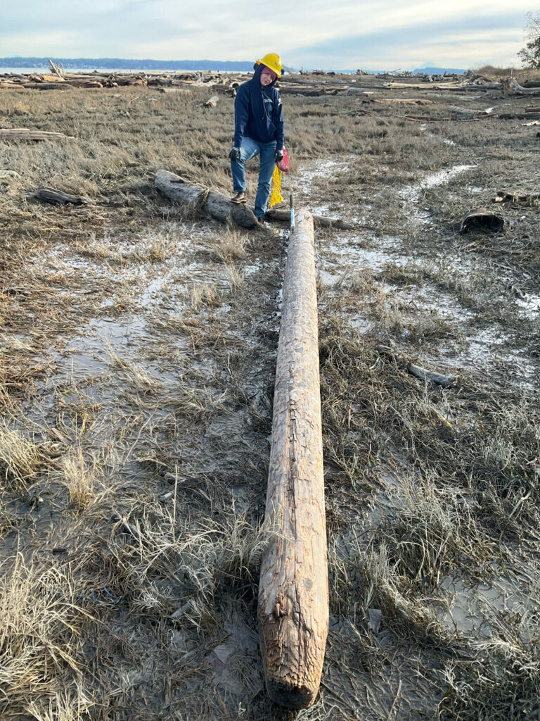 a person standing on a log (MyCoast AI)