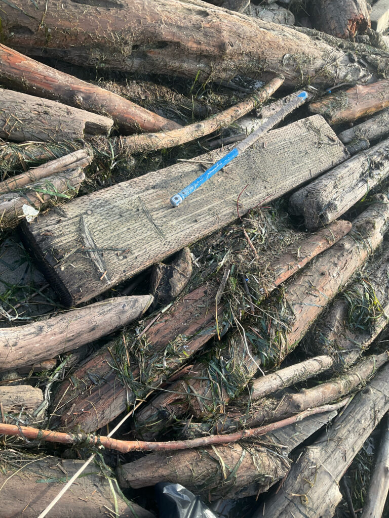 a knife is laying on a pile of cut wood (MyCoast AI)
