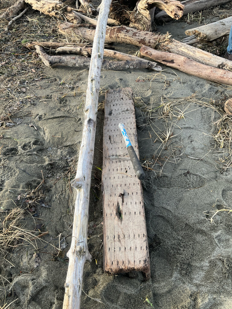 a group of sticks and sticks (MyCoast AI)