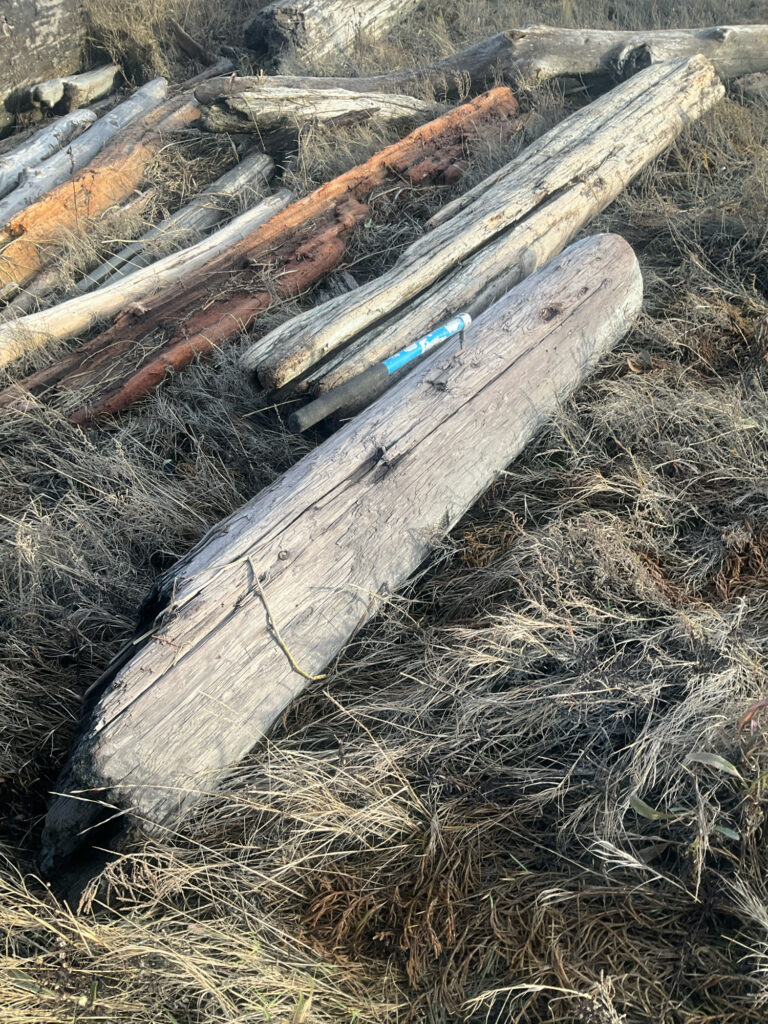 a pile of wood (MyCoast AI)