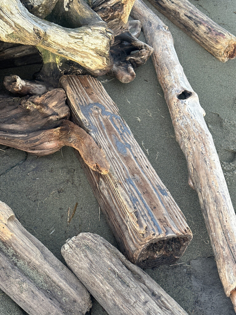 a group of logs (MyCoast AI)