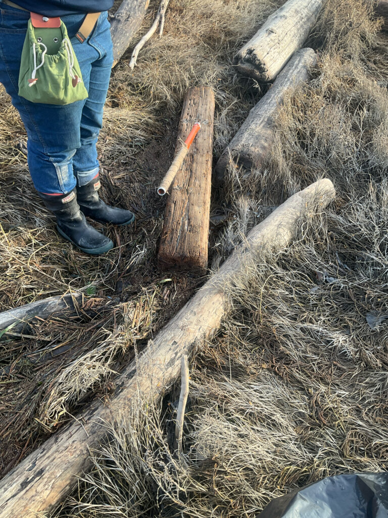 a person standing next to a pile of hay (MyCoast AI)