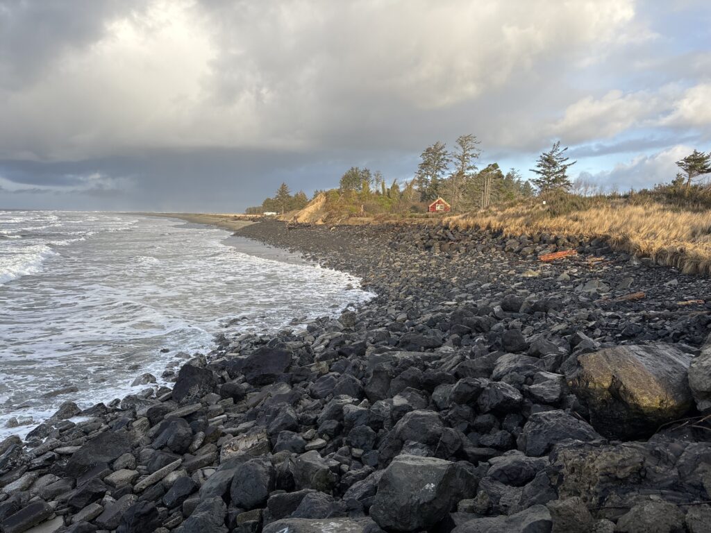 a rocky beach with trees and a body of water (MyCoast AI)