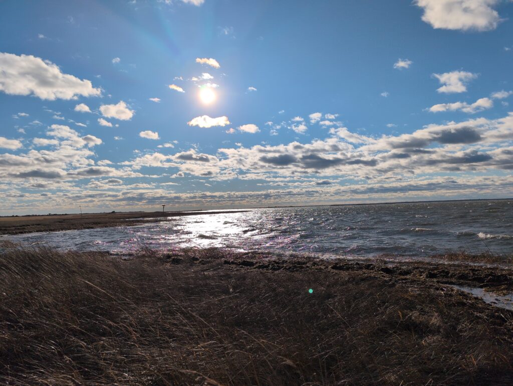 a beach with a body of water and a sunny day (MyCoast AI)