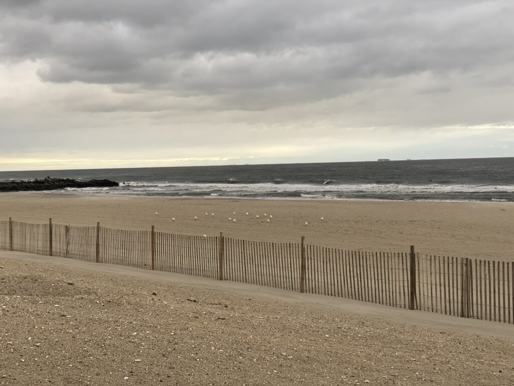 a beach with a fence and waves (MyCoast AI)