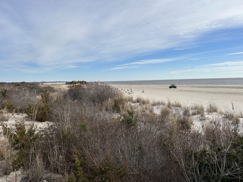 a field of dry grass (MyCoast AI)