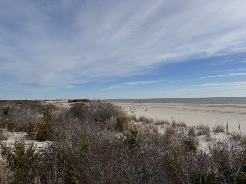 a field of dry grass (MyCoast AI)
