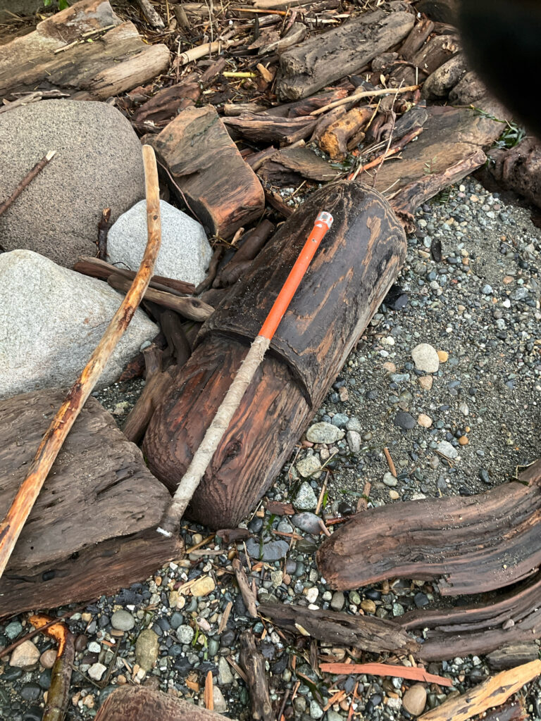 a wooden axe on a pile of wood (MyCoast AI)