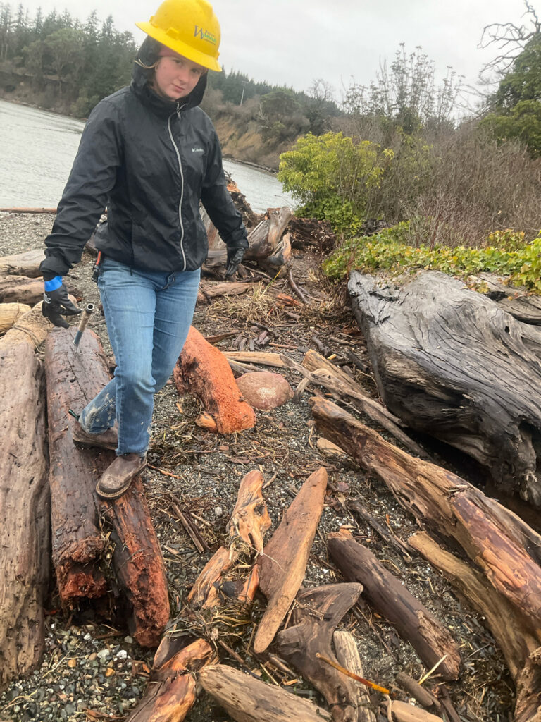 a person wearing a hard hat and standing on a log (MyCoast AI)