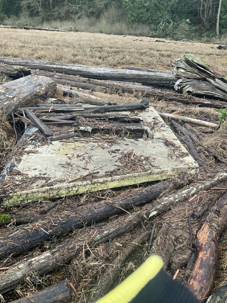 a pile of cut down trees (MyCoast AI)