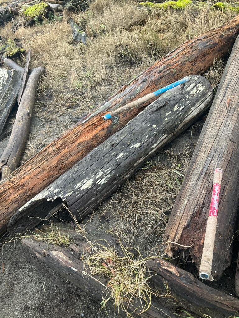 a wooden fence with a blue pipe (MyCoast AI)