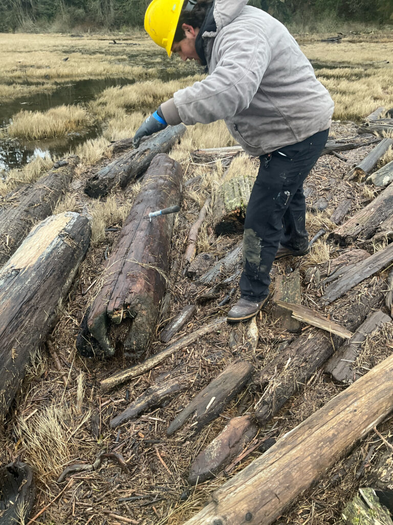 a man cutting wood (MyCoast AI)