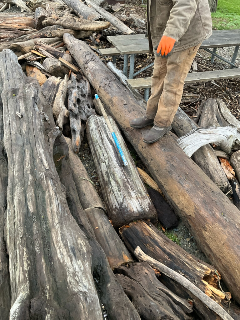 a person cutting wood (MyCoast AI)