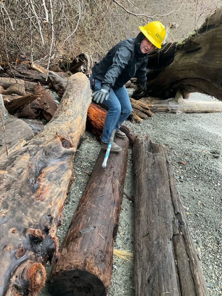 a person wearing a yellow helmet and climbing a tree (MyCoast AI)