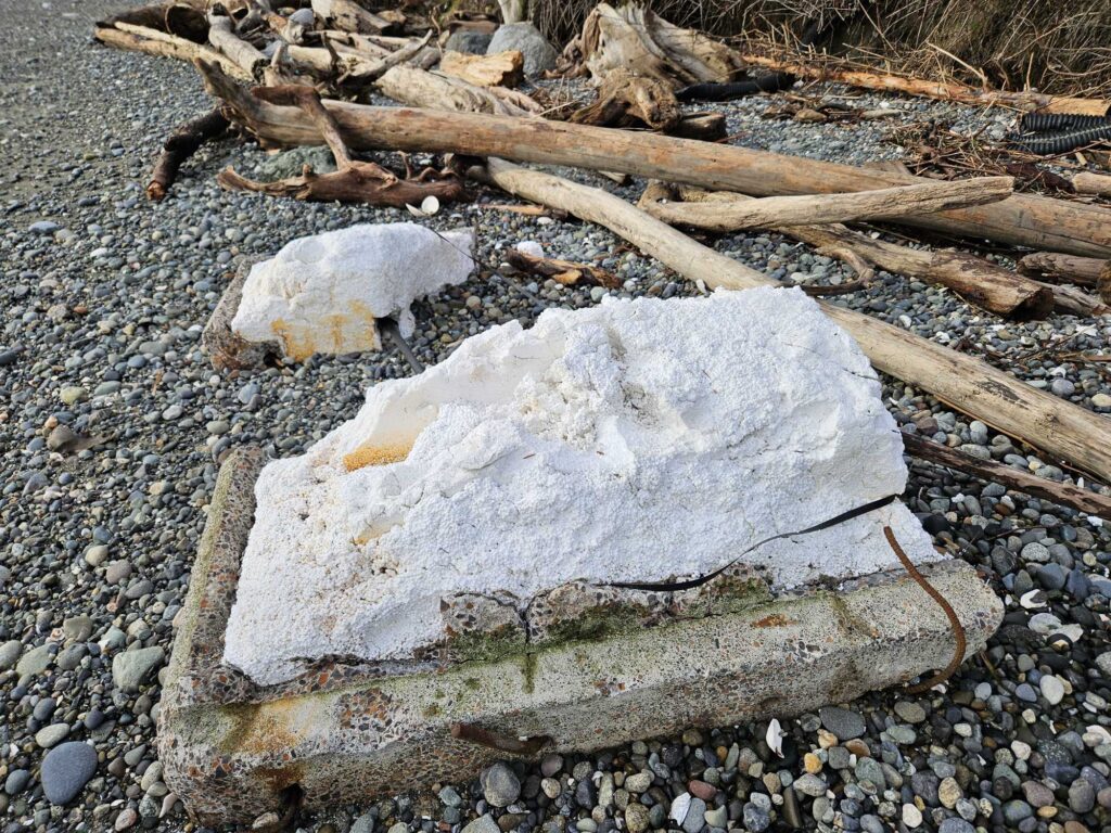 a rock on the ground (MyCoast AI)