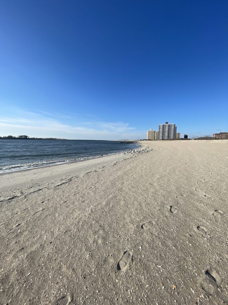 a sandy beach with buildings in the background (MyCoast AI)
