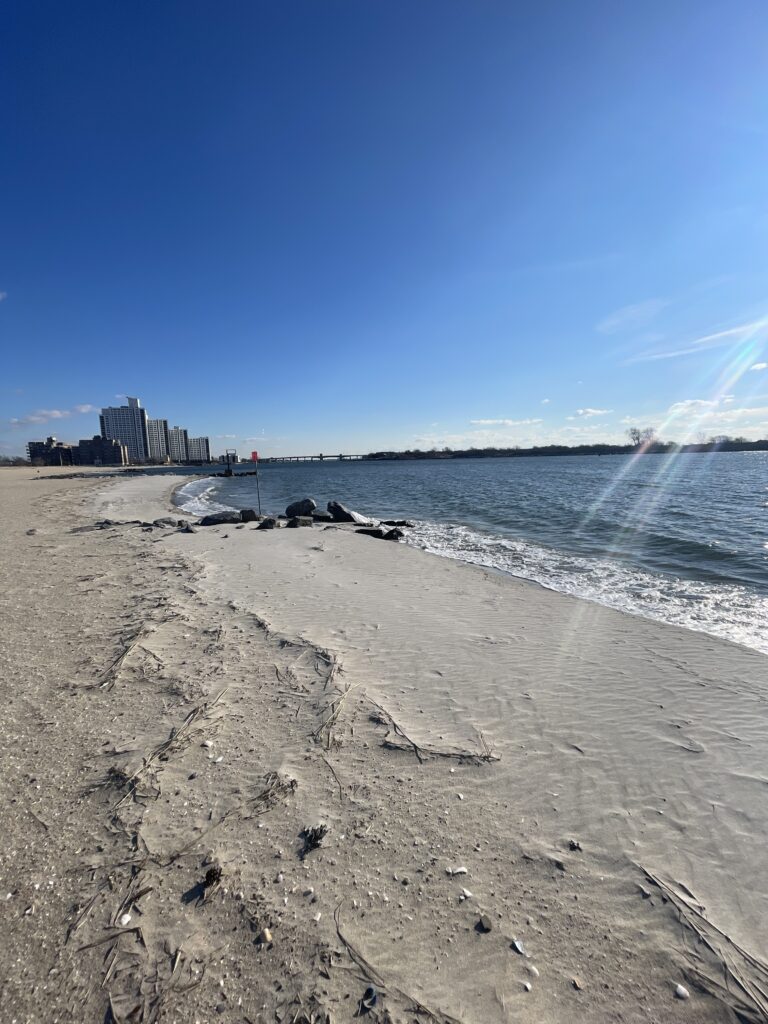 a beach with rocks and water (MyCoast AI)
