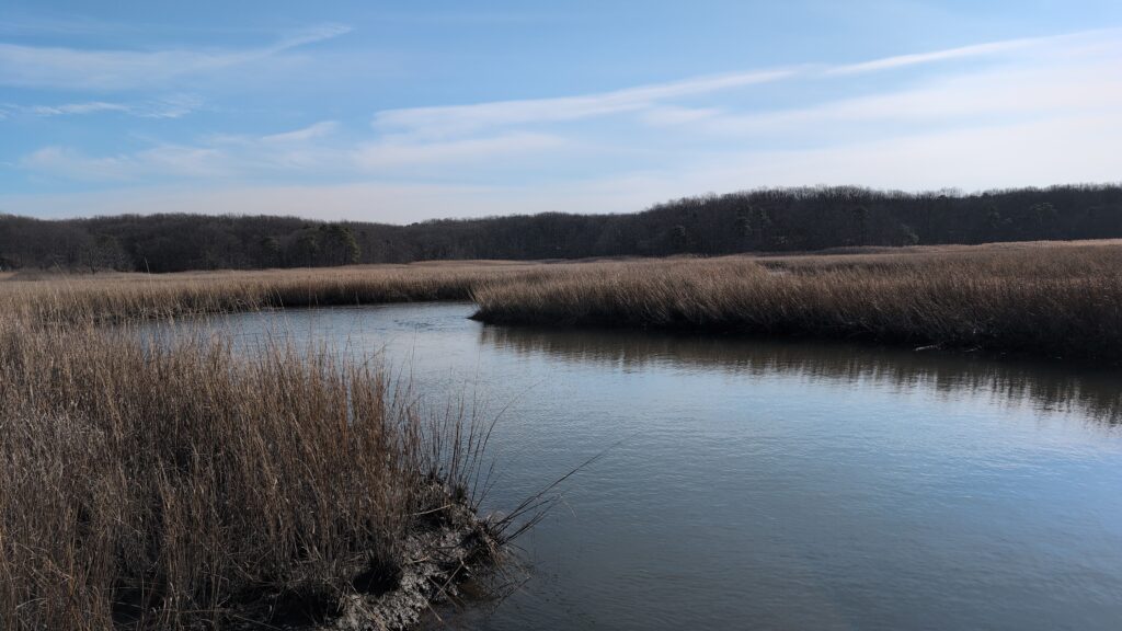 a body of water with grass and trees around it (MyCoast AI)