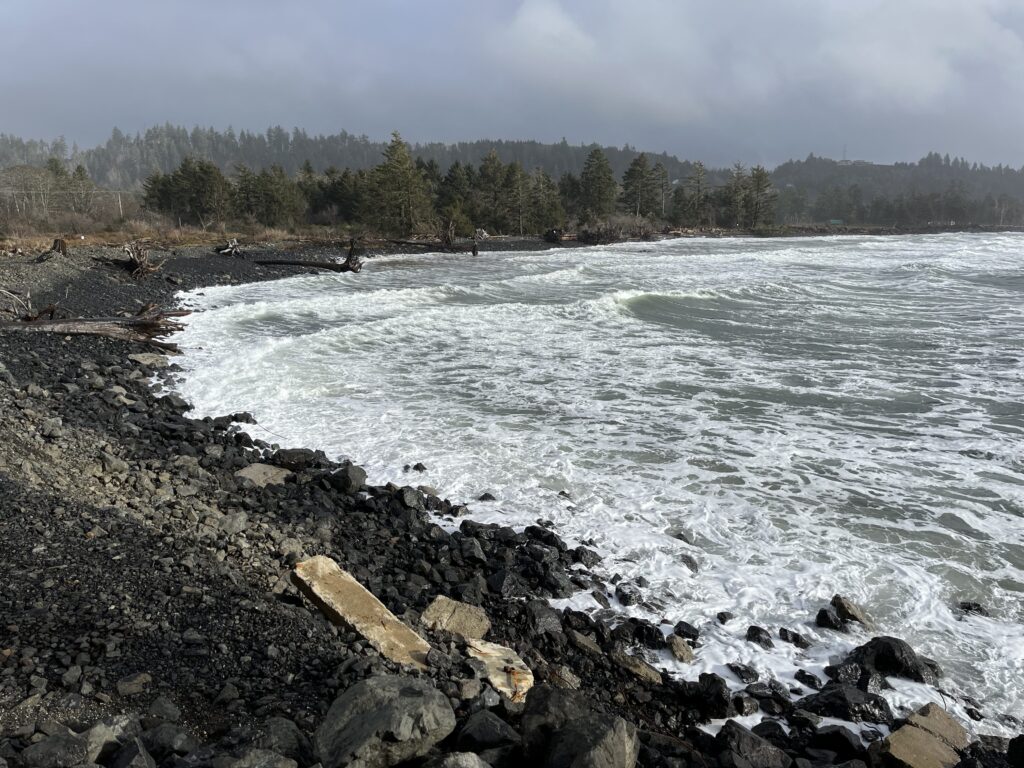 a rocky shore with a body of water and trees in the background (MyCoast AI)