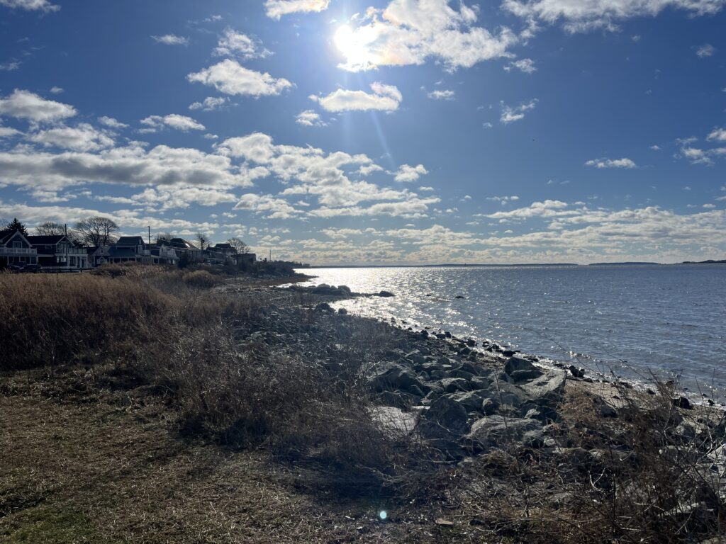 a beach with houses along it (MyCoast AI)
