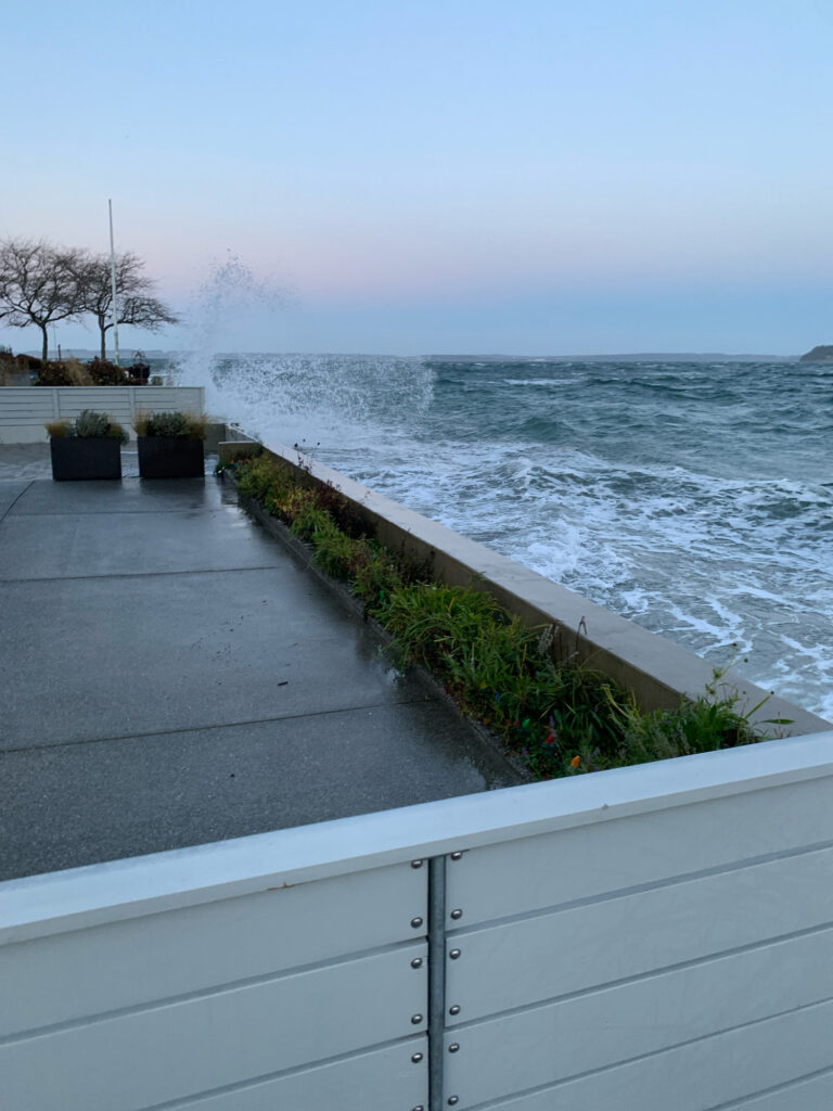 a walkway next to a body of water (MyCoast AI)