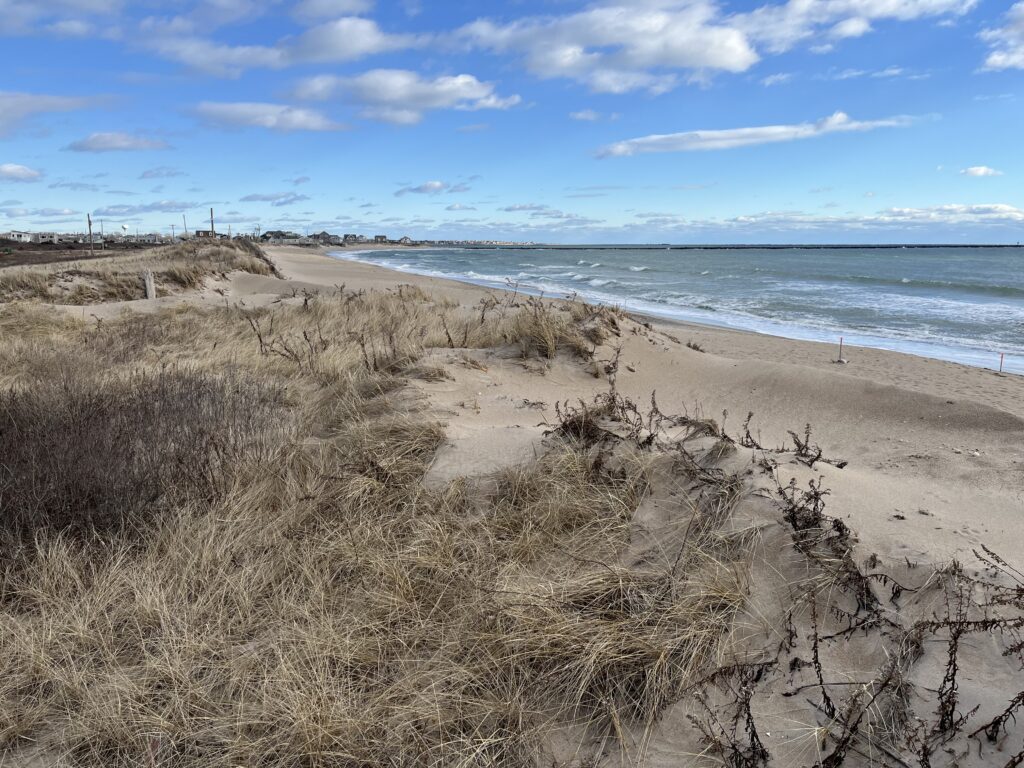 a sandy beach with water and blue sky (MyCoast AI)