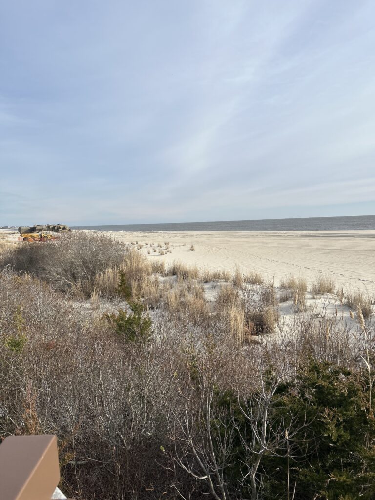a field of dry grass (MyCoast AI)