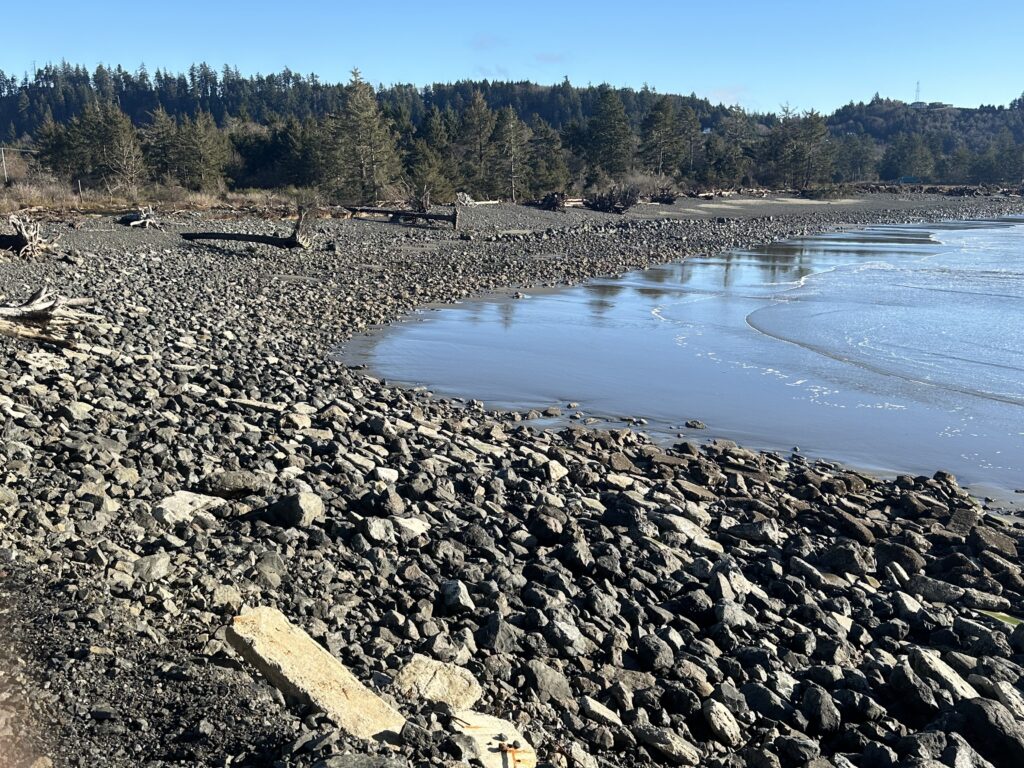 a rocky beach with trees in the background (MyCoast AI)