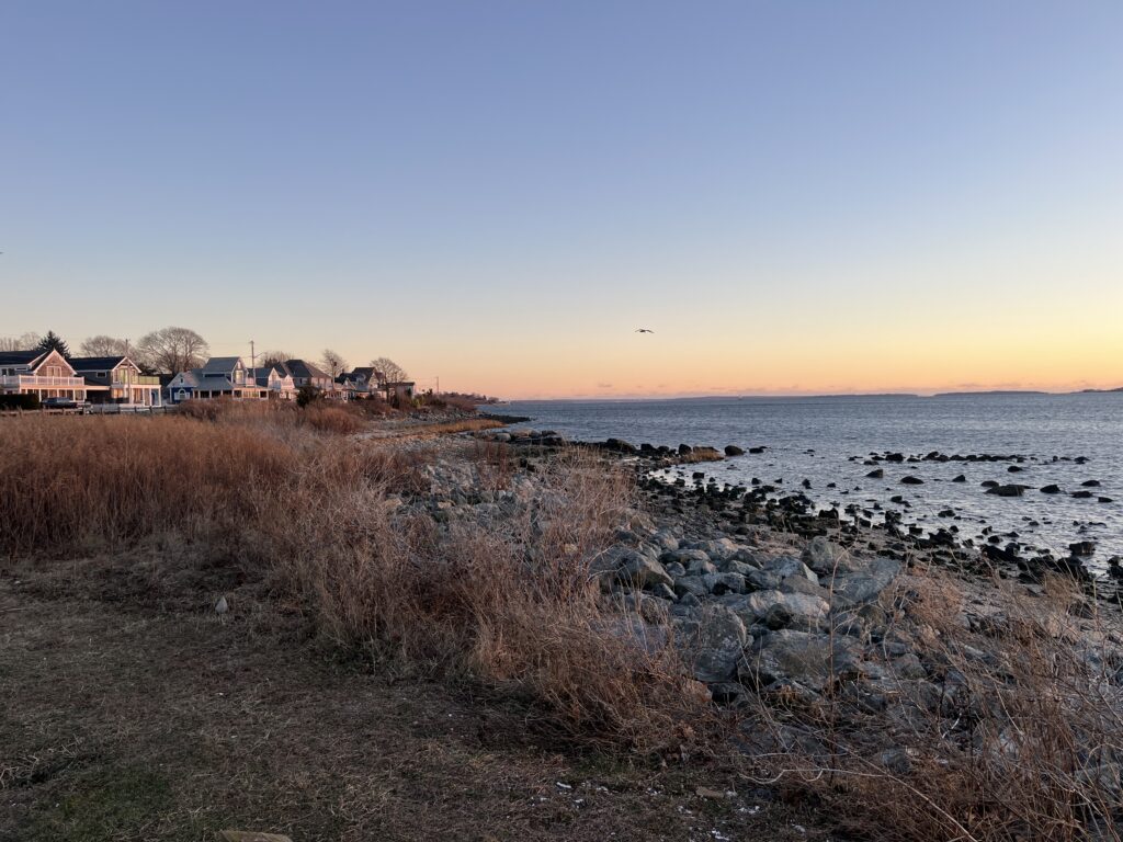 a beach with houses and water (MyCoast AI)