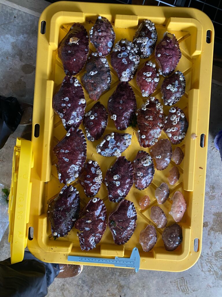 a box of food (MyCoast AI)