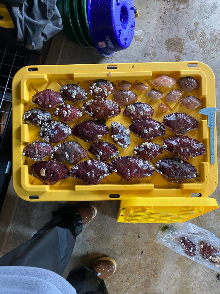 a tray of food (MyCoast AI)