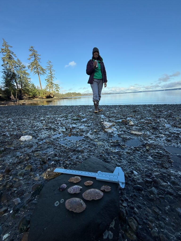 a man standing on a rock in a river (MyCoast AI)