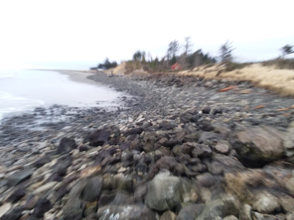 a rocky beach with trees in the background (MyCoast AI)