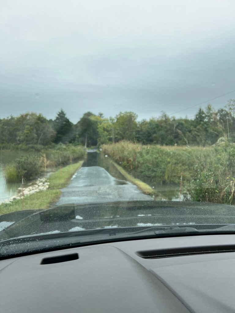 a road with water on the side (MyCoast AI)