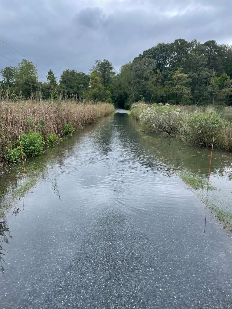 a river with a small bridge (MyCoast AI)