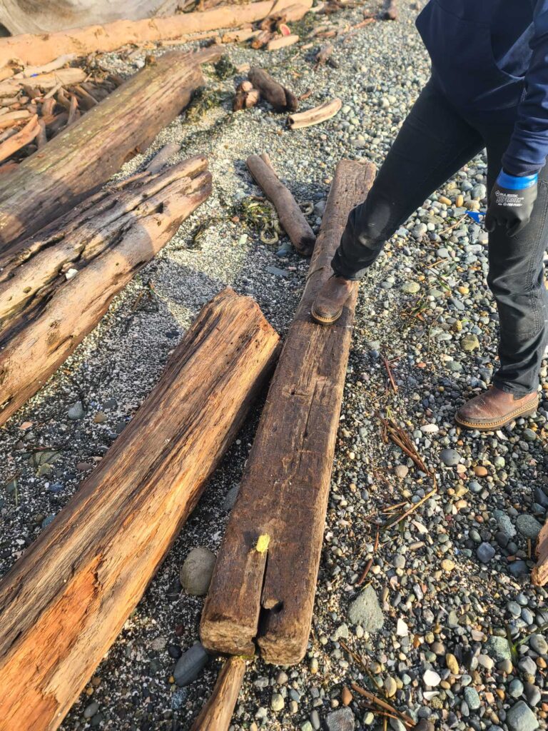 a person standing next to a wooden bench (MyCoast AI)