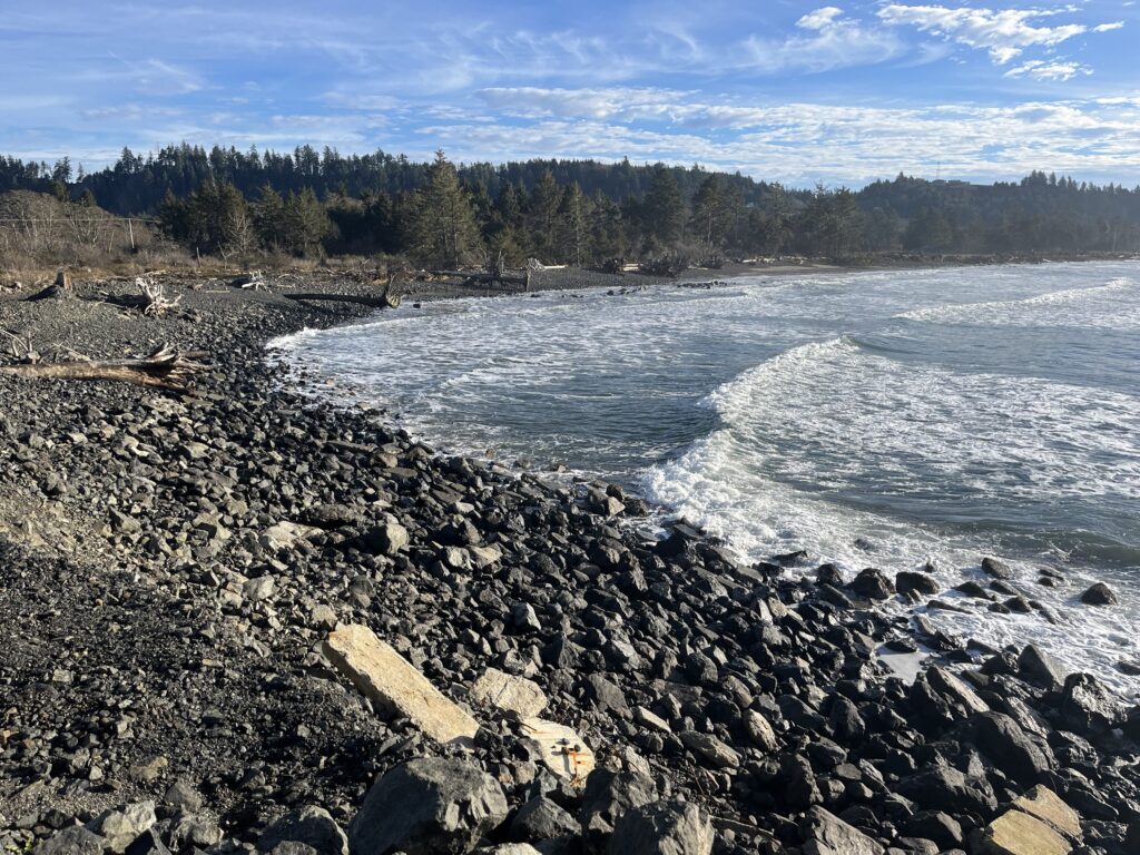 a rocky beach with trees in the background (MyCoast AI)